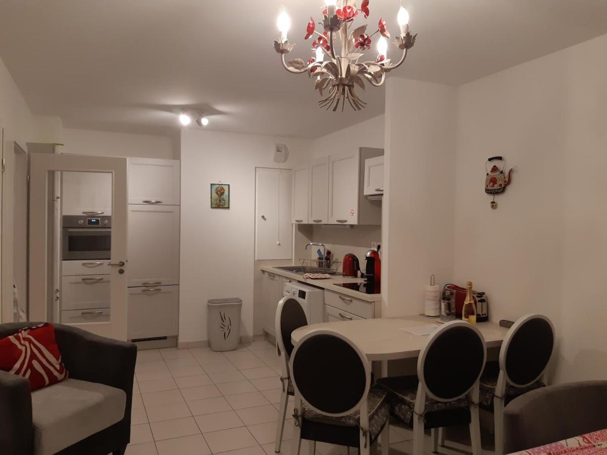 Le Carre Des Fleurs Apartment Strasbourg Ngoại thất bức ảnh